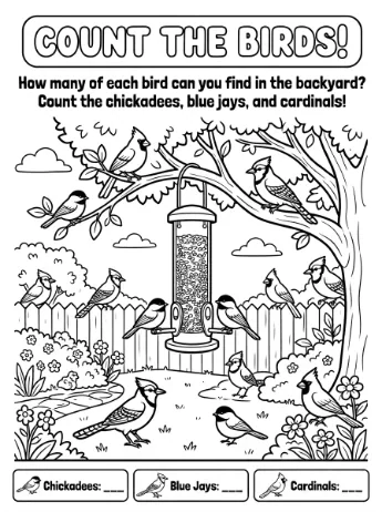 Count the Birds activity page